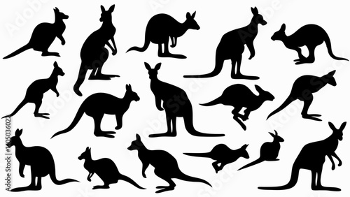 set of kangaroo silhouette vector on white background