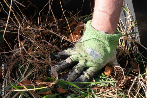 Hand in gardening glove pushing down green garden waste, clippings and weeds into a green waste bin or compost pile