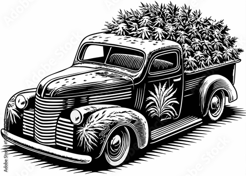 Cannabis Harvest: Truckload of Marijuana Plants, Detailed View pot drug weed hemp buds dope farm    