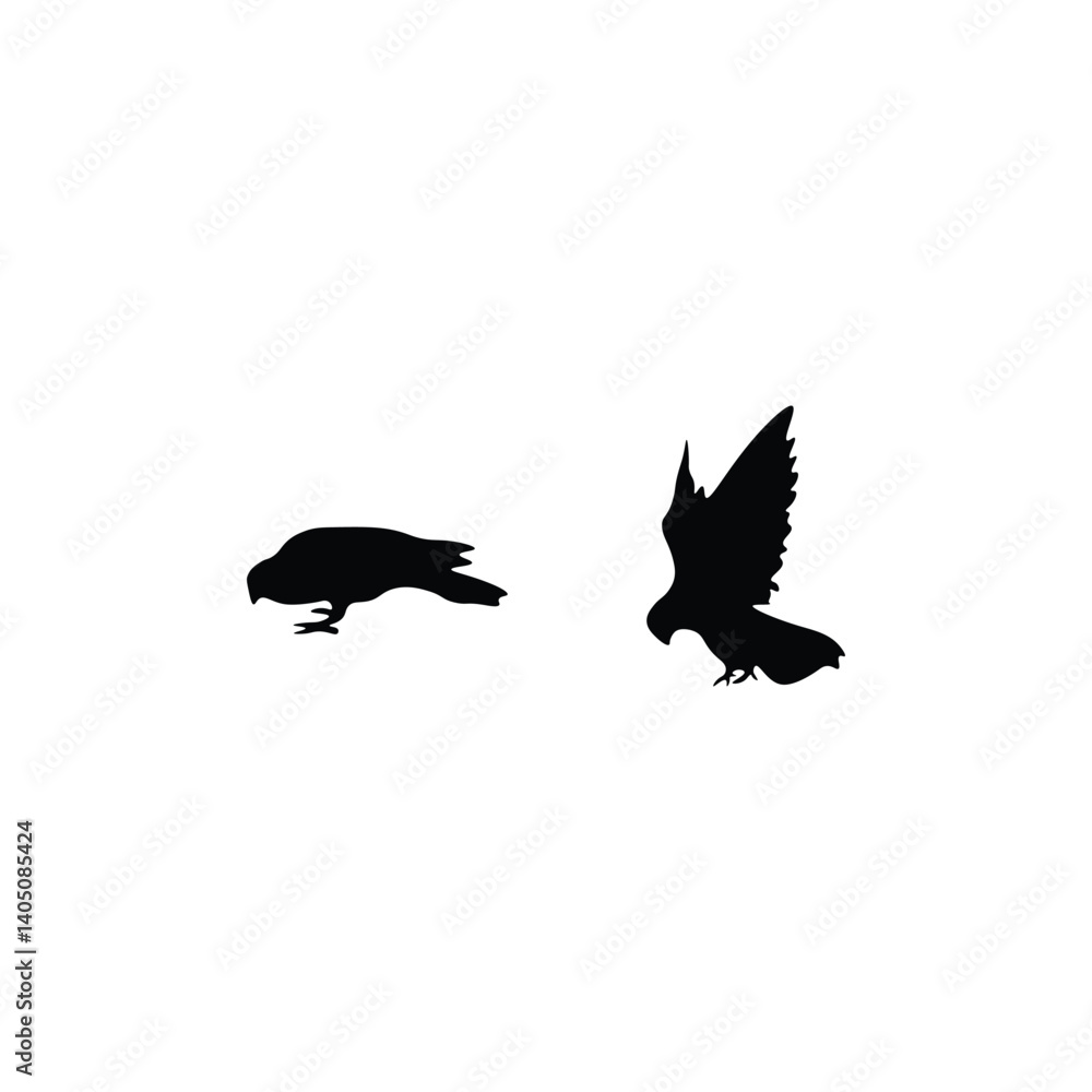 Obraz premium Bird silhouette