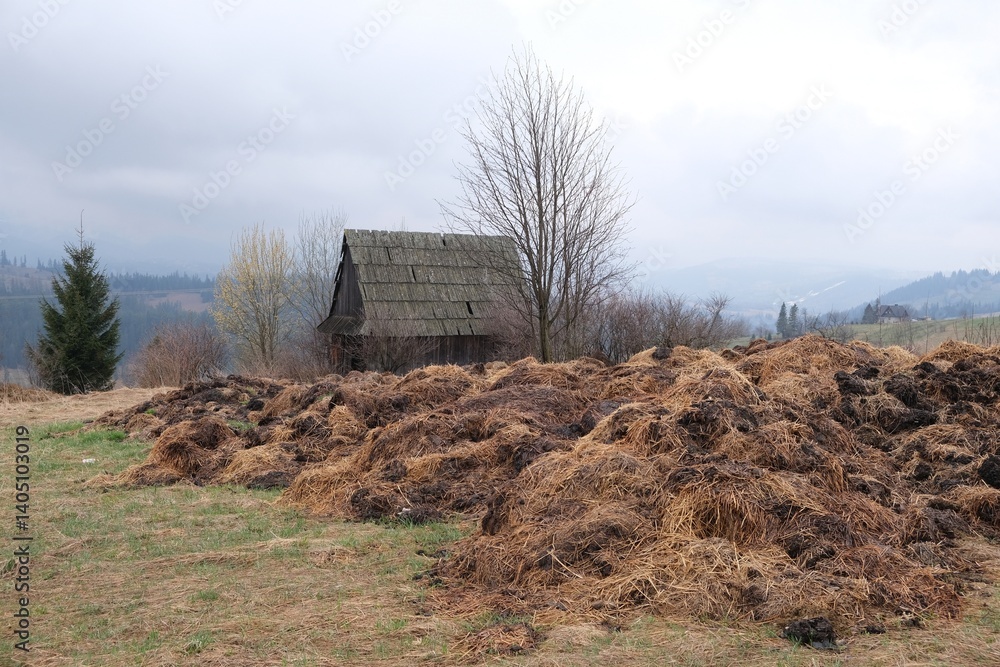 Misty scenery of rural landscape with old wooden cottage and stack of dry grass, around Gliczarow Gorny, Podhale, Poland