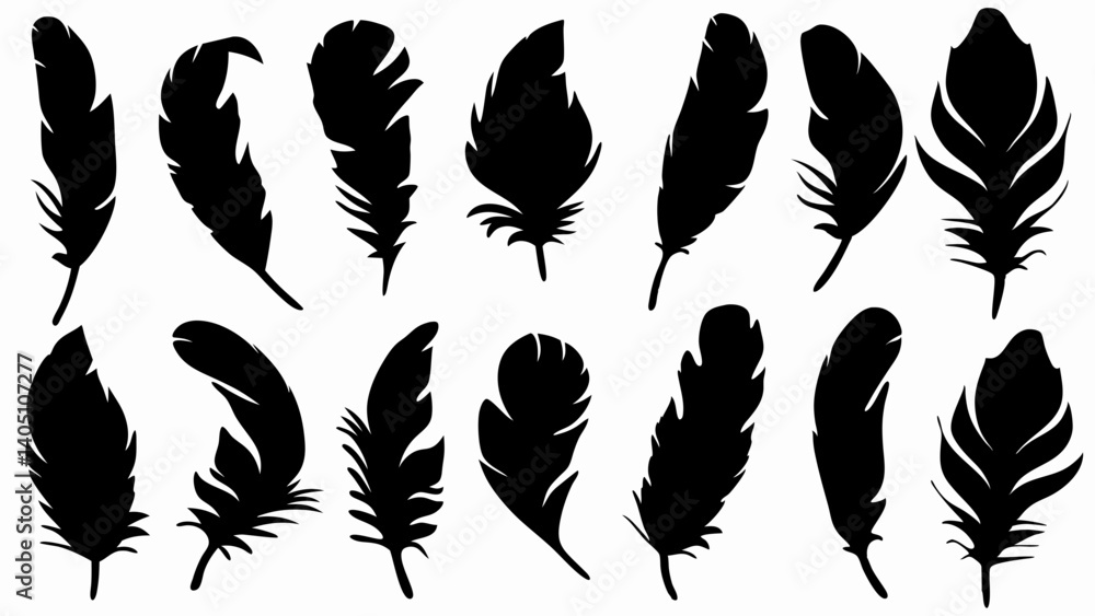 set of feather silhouette vector on white background set of feather silhouette vector on white background