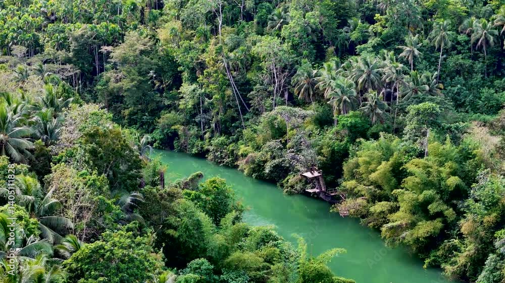 Loboc River with palm trees in Bohol island, Philippines. Aerial drone view of river popular for river cruises Loboc River with palm trees in Bohol island, Philippines. Aerial drone view of river popular for river cruises