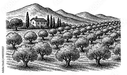 Engraved Landscape with Olive Trees Field, House and Mountains in Black and White Style