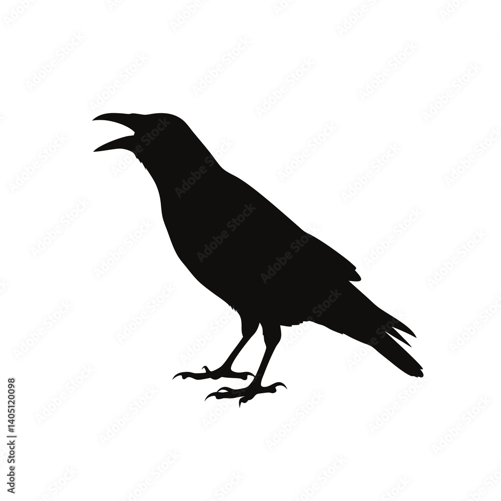 Fototapeta premium Black Silhouette Crow Raven Bird Cawing Open