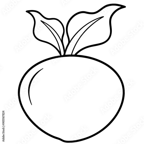 Freshly Harvested Kohlrabi: Vibrant, Healthy, and Ready to Eat. A delicious and nutritious          