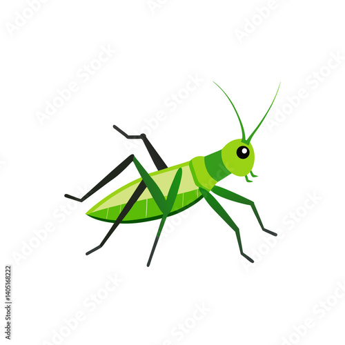 green grasshopper isolated on white