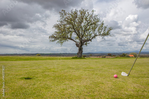 Golf green area surrounded by mediterranean holm oak forest