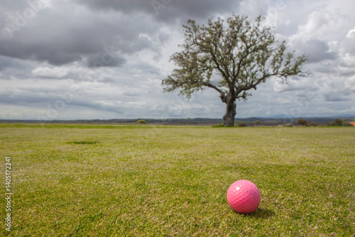 Obraz na płótnie Golf green area surrounded by mediterranean holm oak forest w salonie