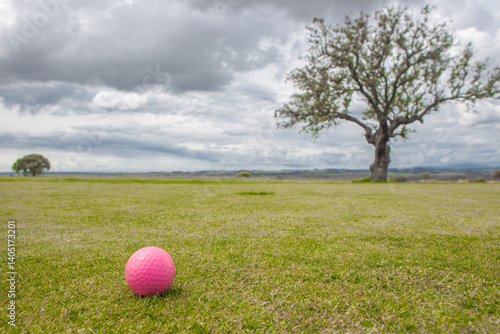 Obraz na płótnie Golf green area surrounded by mediterranean holm oak forest w salonie