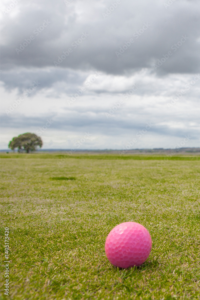 Golf green area surrounded by mediterranean holm oak forest
