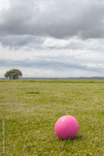 Golf green area surrounded by mediterranean holm oak forest