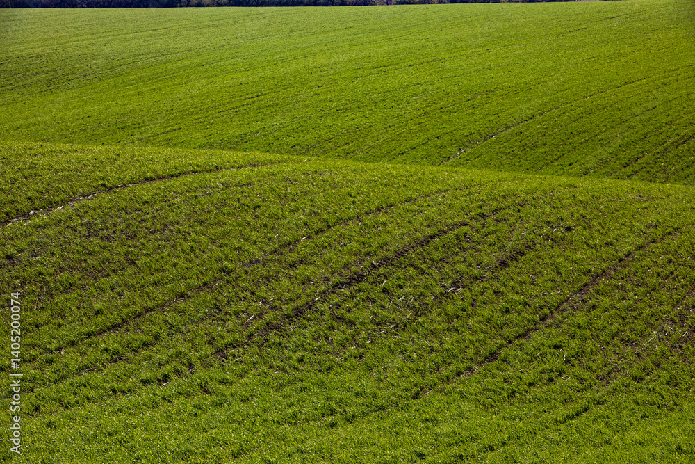Agricultural field in the spring at sunset. Rural landscape. Landscape with a plowed field.