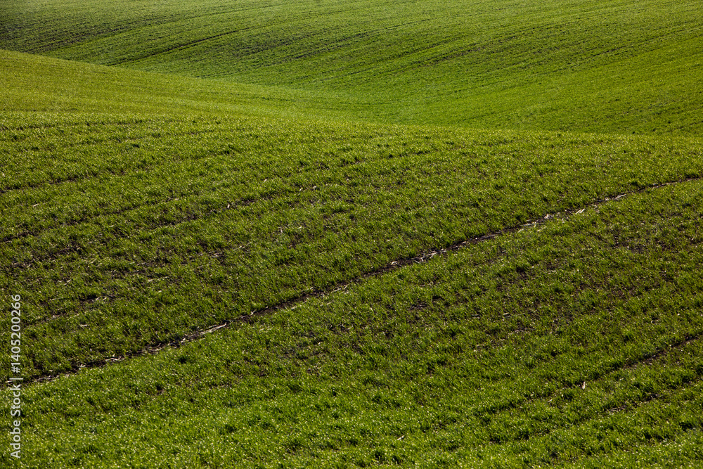 Agricultural field in the spring at sunset. Rural landscape. Landscape with a plowed field.