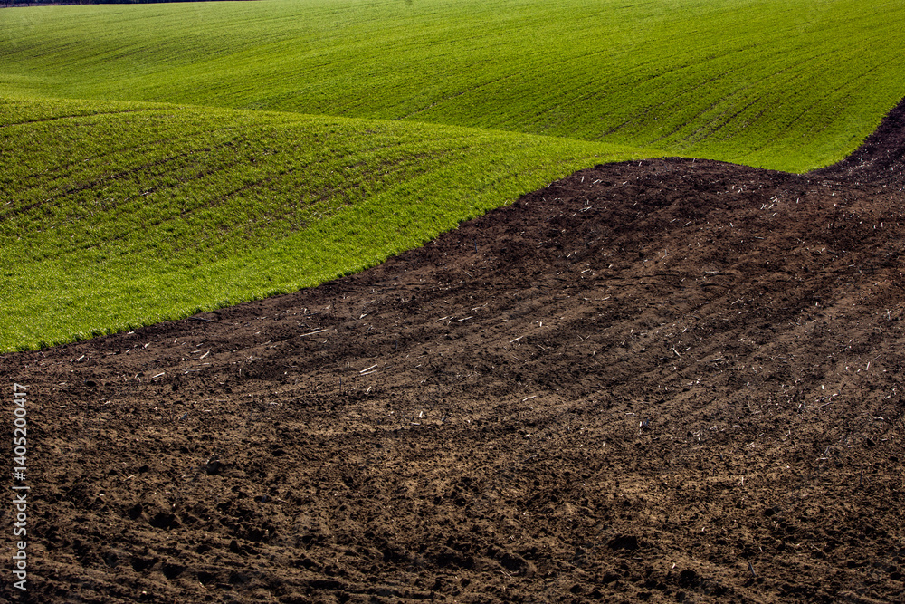 Agricultural field in the spring at sunset. Rural landscape. Landscape with a plowed field.