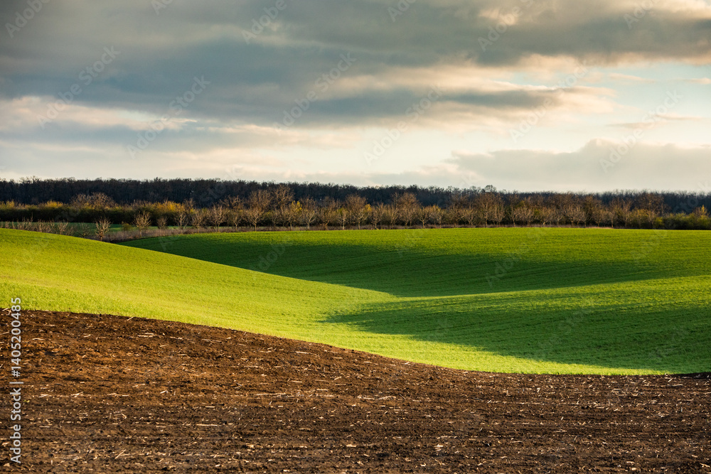 Agricultural field in the spring at sunset. Rural landscape. Landscape with a plowed field.