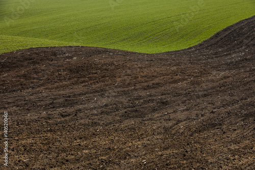 Obraz na płótnie Agricultural field in the spring at sunset. Rural landscape. Landscape with a plowed field. w salonie