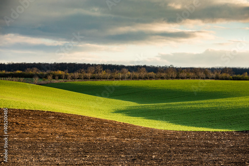 Obraz na płótnie Agricultural field in the spring at sunset. Rural landscape. Landscape with a plowed field. w salonie