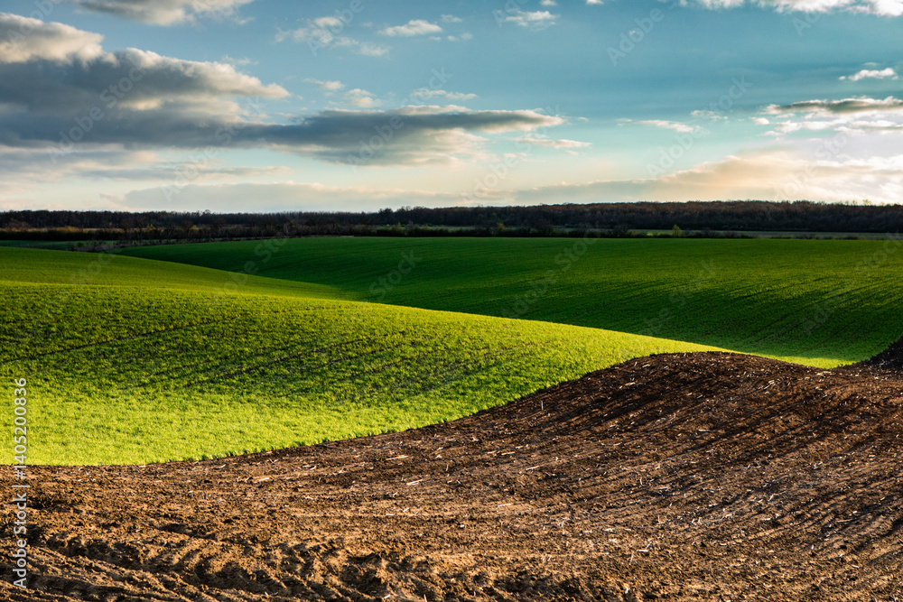 Agricultural field in the spring at sunset. Rural landscape. Landscape with a plowed field.