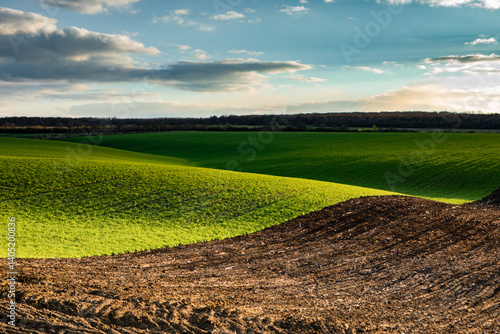 Obraz na płótnie Agricultural field in the spring at sunset. Rural landscape. Landscape with a plowed field. w salonie