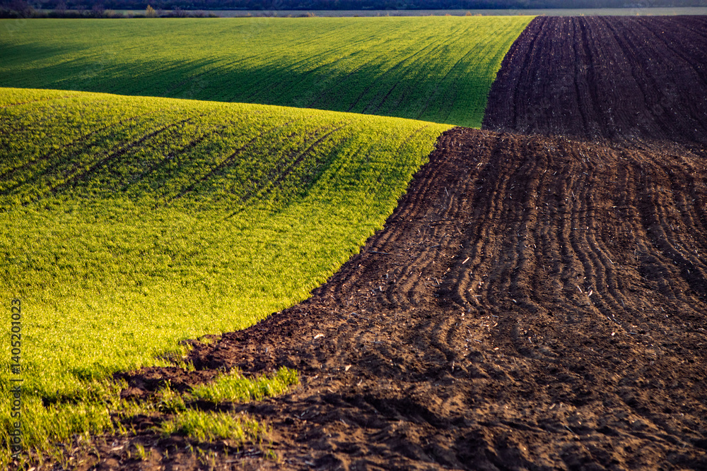 Agricultural field in the spring at sunset. Rural landscape. Landscape with a plowed field.