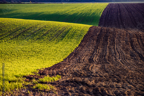 Obraz na płótnie Agricultural field in the spring at sunset. Rural landscape. Landscape with a plowed field. w salonie
