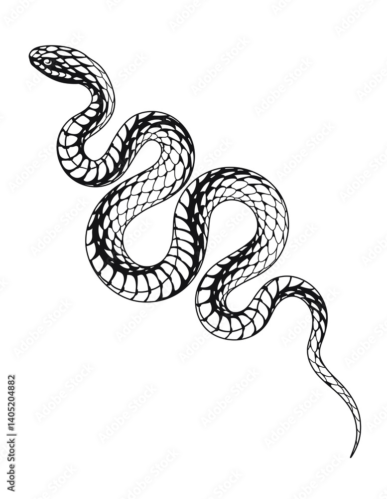 Fototapeta premium Black and white snake with scales on transparent PNG background. Isolated monochrome illustration of a dangerous and poisonous snake. Venomous reptile on the hunt crawling.