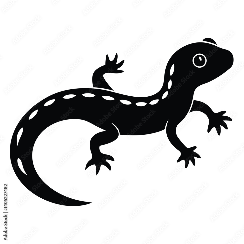 Fototapeta premium newt vector