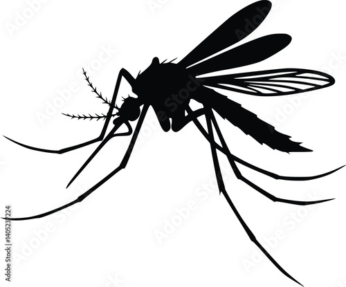 Silhouette of a mosquito with detailed legs, wings, and proboscis, symbolizing disease vectors and entomology
