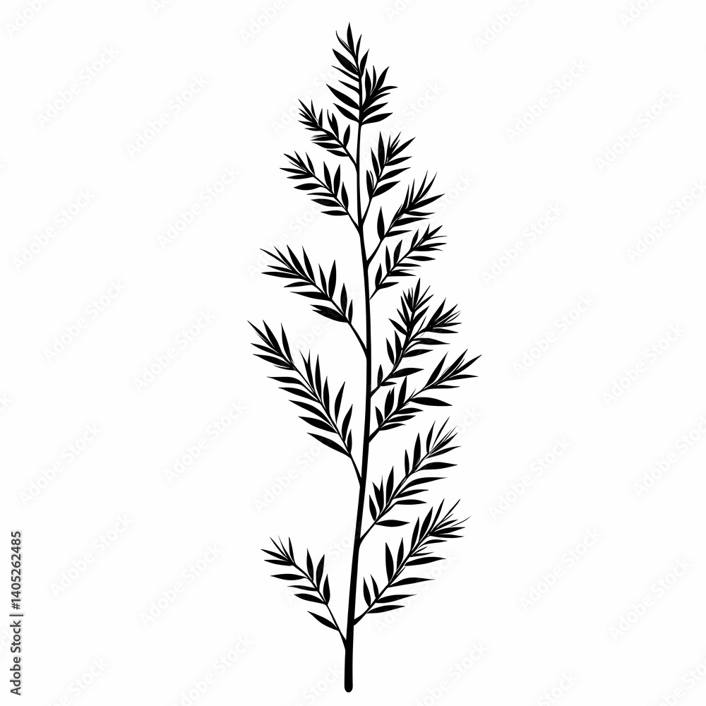 Monochrome Botanical Illustration of Fern and Leaf for Rustic Farmhouse Decor Monochrome Botanical Illustration of Fern and Leaf for Rustic Farmhouse Decor