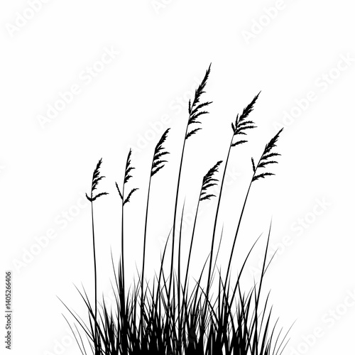 Black and White Silhouette Grassland. Scenic Artistic Design in Nature Art and Eco-Friendly Landscaping