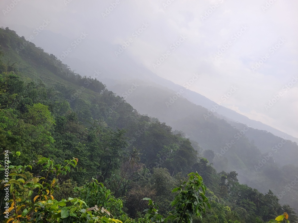 Fototapeta premium mountain landscape with fog