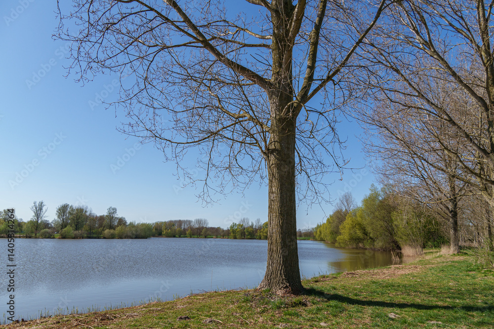 Die Bücherstadt Bredvoort in den Niederlanden