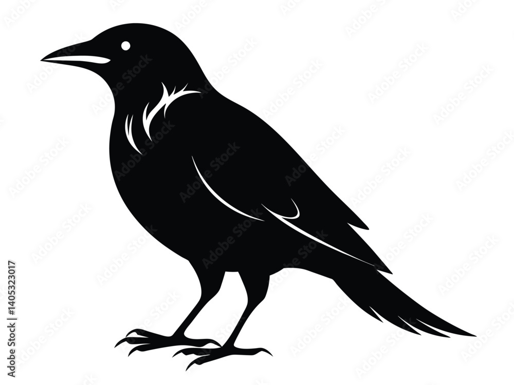 Fototapeta premium crow on white background
