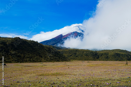 Parco del Cotopaxi Ecuador