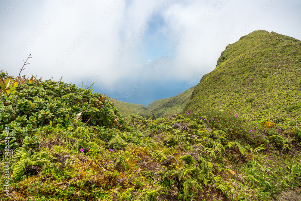 View over Mount Pelee vulcano on Martinique in the Caribbean in mist View over Mount Pelee vulcano on Martinique in the Caribbean in mist