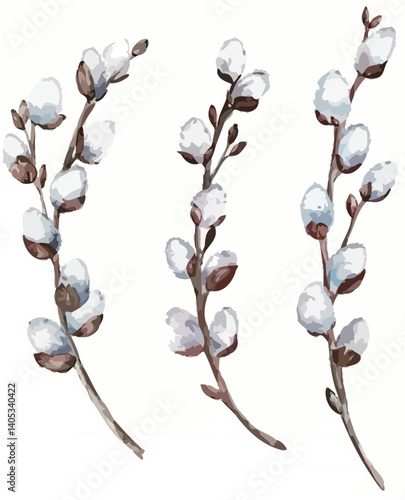 Watercolor Willow Branches for Palm Sunday Celebration – Vector Illustration