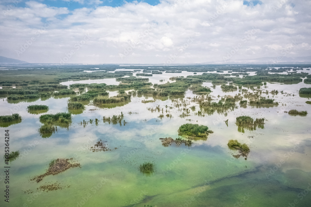 Eber Lake and its reeds. Aerial view of Eber Lake in Afyonkarahisar province of Turkey with a drone.
