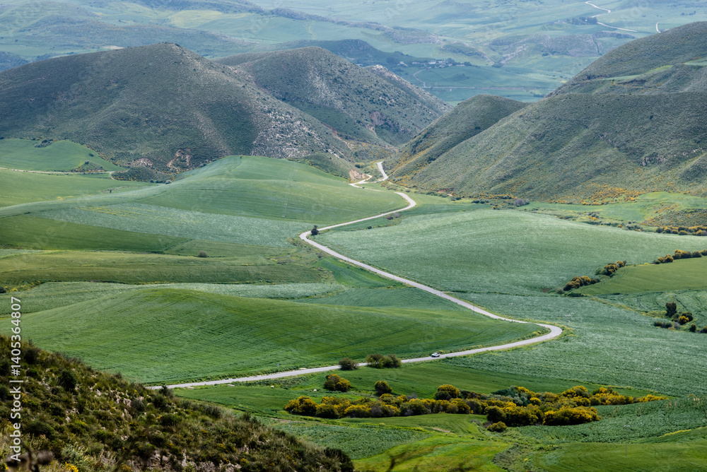 Beautiful spring landscape view from the north of Tunisia