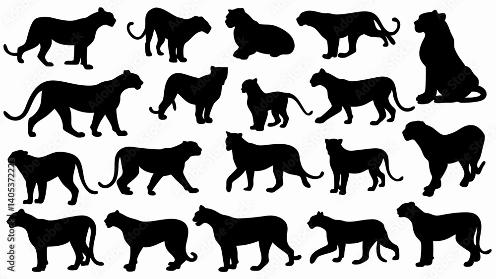 set of lionesses silhouette vector on white background set of lionesses silhouette vector on white background