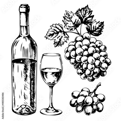 A bottle of wine, a wine glass