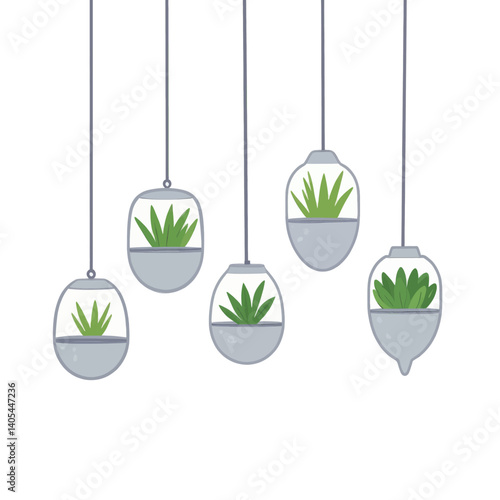 Hanging gray terrariums with green plants illustration