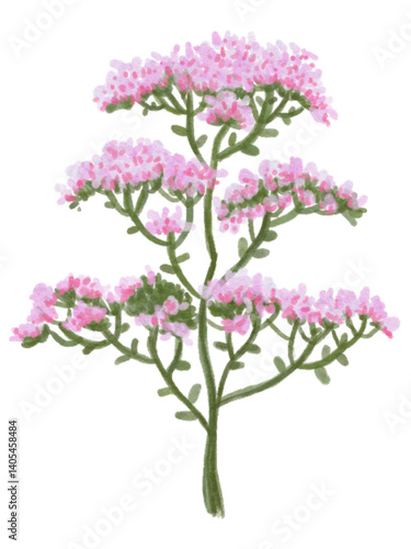 Minimal cute flowers 