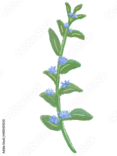 Minimal cute flowers 