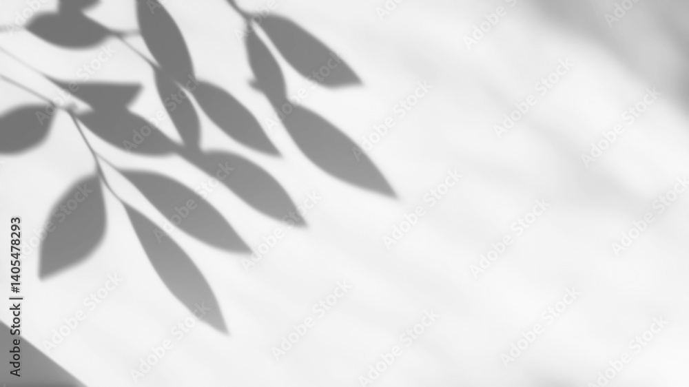 shadow overlay effects of realistic branch leaf shadow with light blur on transparent background,Summer sunlight and shadow overlay effect shadow overlay effects of realistic branch leaf shadow with light blur on transparent background,Summer sunlight and shadow overlay effect