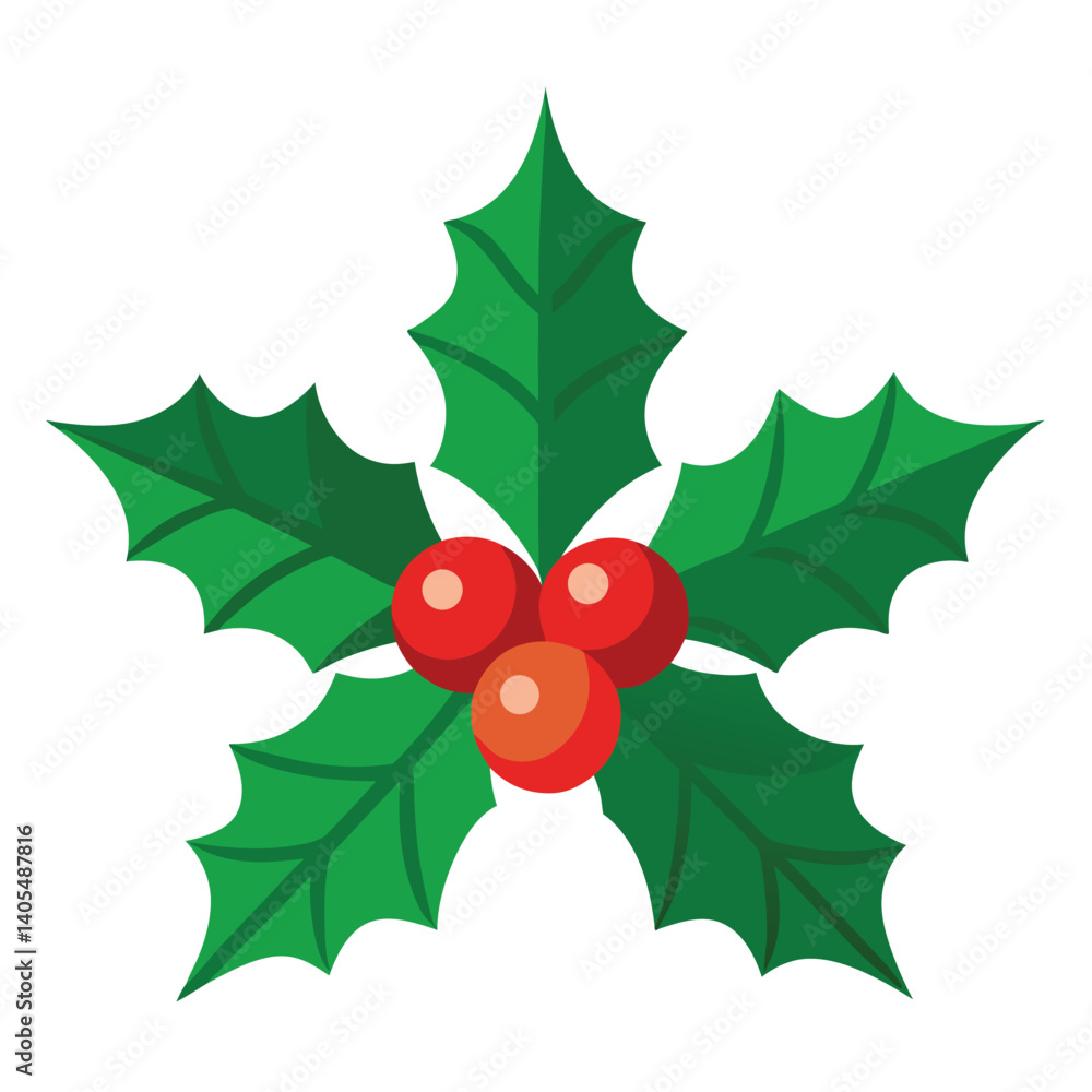 Christmas holly on white background Christmas holly on white background