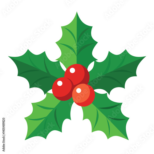 Christmas holly on white background