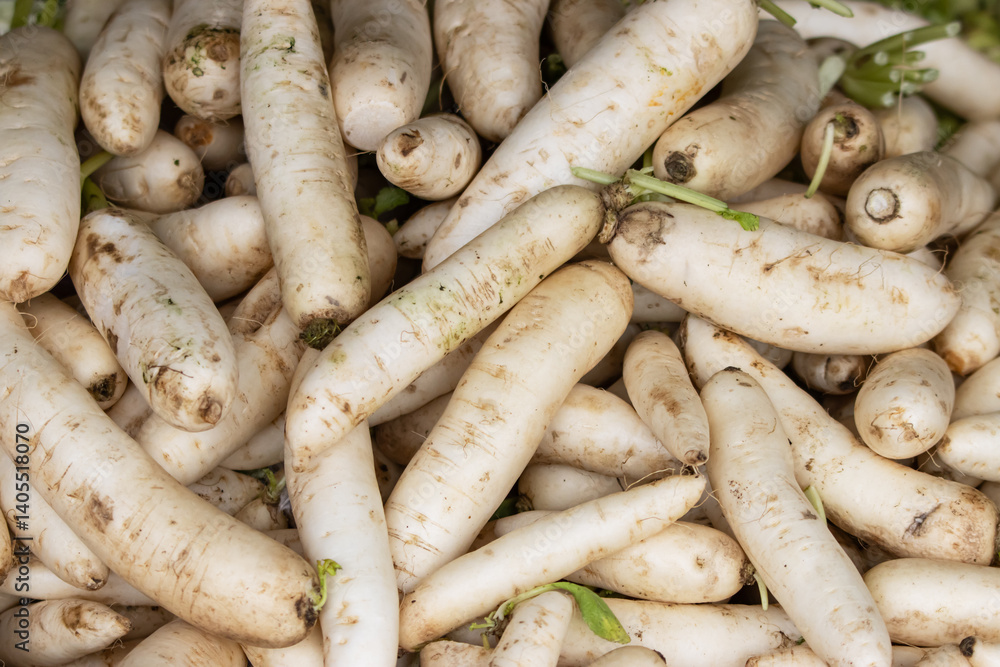 A pile of white vegetables, including carrots and celery A pile of white vegetables, including carrots and celery