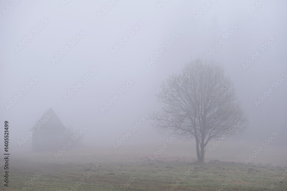 Very misty scenery of hills with wooden hut and trees.