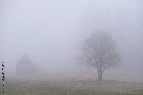 Obraz na płótnie Very misty scenery of hills with wooden hut and trees. w salonie